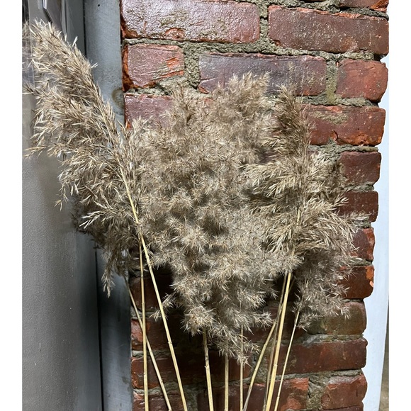 Dried Reed Décor - Picture 3 of 9